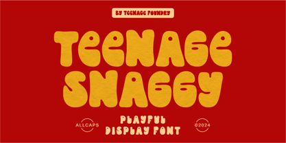 Teenage Snaggy Font Poster 1