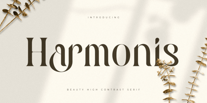 Harmonis Style Font Poster 1