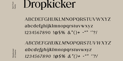 Dropkicker Font Poster 8