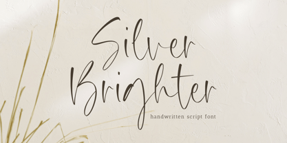 Silver Brighter Font Poster 1