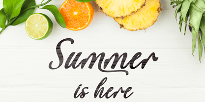 Summer View Font Poster 5