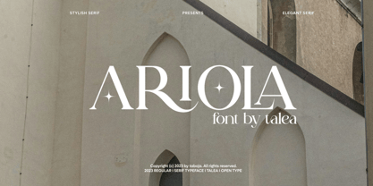 Talea Elegant Serif Font Poster 13