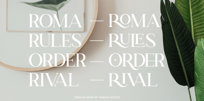 Talea Elegant Serif Font Poster 5