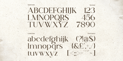 Talea Elegant Serif Font Poster 9