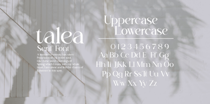 Talea Elegant Serif Police Poster 10