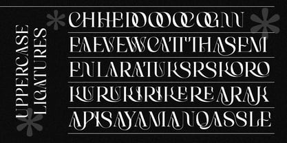 The Roman Historia Font Poster 13