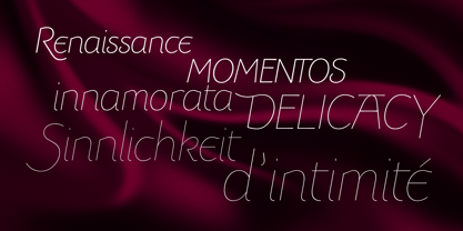 Dulcinea Sans Font Poster 8