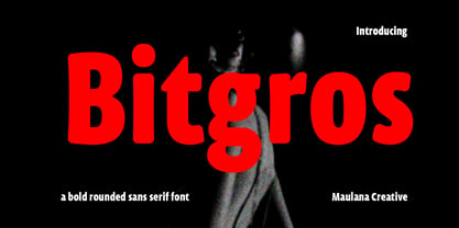 Bitgros Police Affiche 1