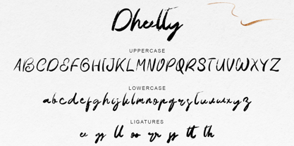 Dheelty Font Poster 5