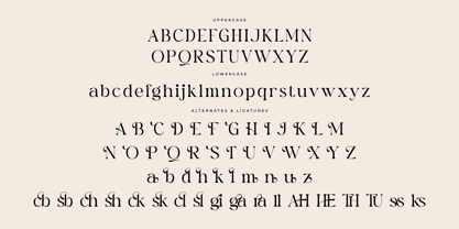 Firgine Font Poster 7