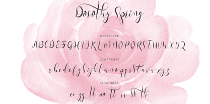 Dorothy Spring Font Poster 5