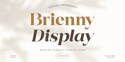 Brienni Display Branding Font Poster 1