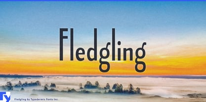 Fledgling Font Poster 1