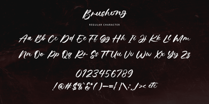 Brushong Font Poster 9