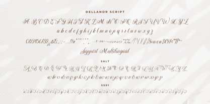 Dellanor Script Font Poster 8