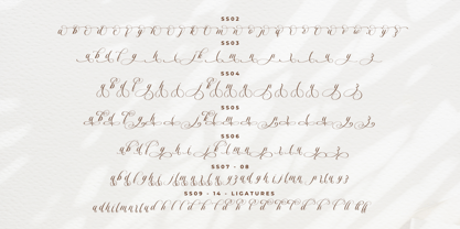 Dellanor Script Font Poster 9