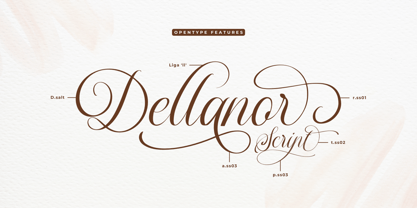 Dellanor Script Font Poster 10