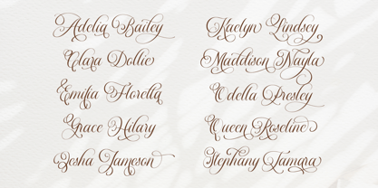 Dellanor Script Font Poster 6