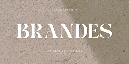 Brandes Font Poster 1