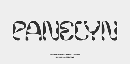 Panelyn Font Poster 1