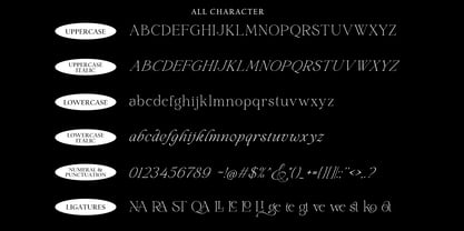 Elagern Font Poster 15