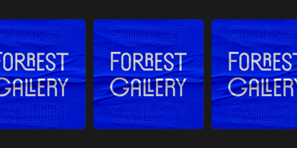 Forrest Gallery Fuente Póster 2