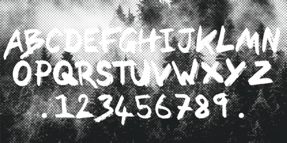 Blacksky Brush Font Poster 4