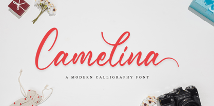 Camelina Font Poster 1