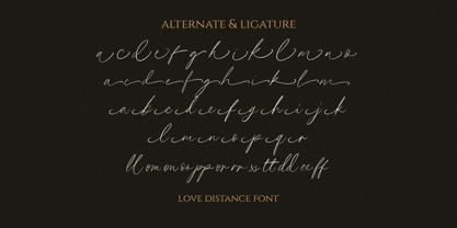 Love Distance Font Poster 6