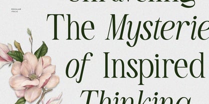 TBJ Olivia Nineties Elegant Serif Font Poster 7