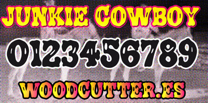 Junkie Cowboy Font Poster 6