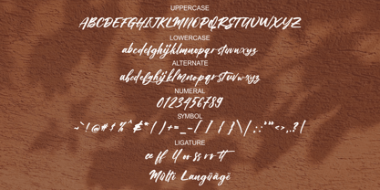 Brownless Font Poster 9