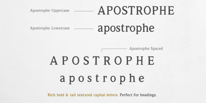 Apostrophe Font Poster 5