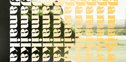 Danver Bridget Font Poster 6