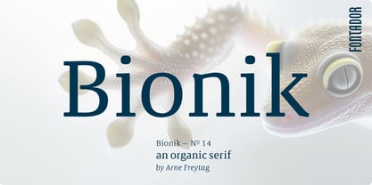 Bionik Font Poster 1