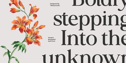 TBJ Siromi Modern Bracketed Serif Font Poster 8