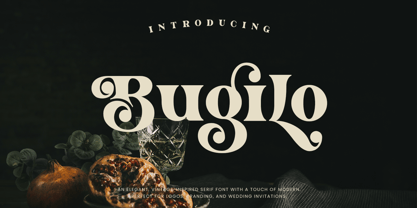 Bugilo Font Poster 1