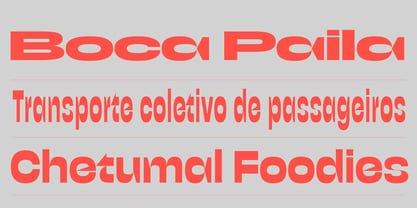 Bacalar Font Poster 6