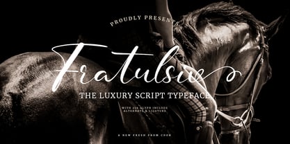 Fratulsiv Font Poster 1