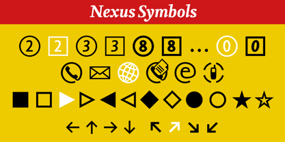 Nexus Serif Pro Font Poster 8
