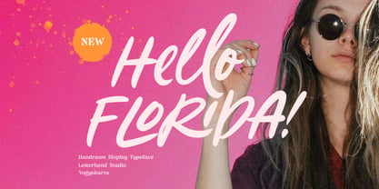 Hello Florida Font Poster 1