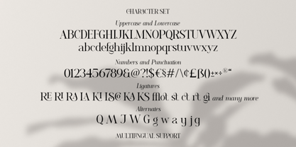 Romelu Vomelu Font Poster 13