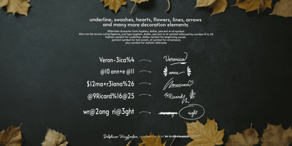 Delphian Wayfinder Font Poster 7