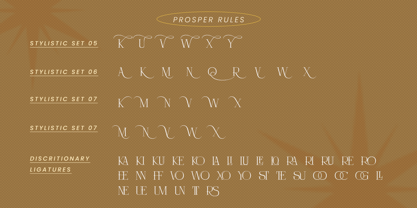 Prosper Rules Font Poster 11