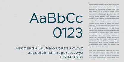 Remoto Font Poster 14