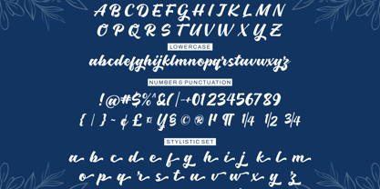 Fiolyta Font Poster 9