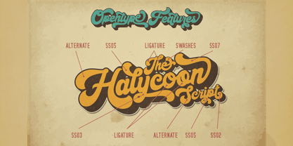 Halycoon Script Font Poster 12