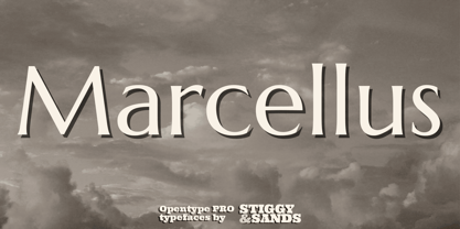 Marcellus Pro Font Poster 1