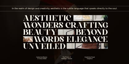 Elova Elegant Serif Font Poster 7