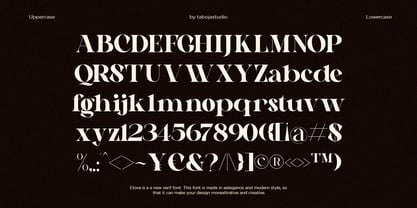 Elova Elegant Serif Font Poster 8